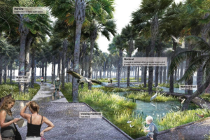 Female landscape designer fosters economic growth through biodiversity care