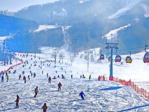 Turning cold into gold – Chinadaily.com.cn