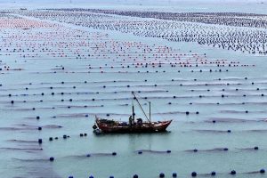 Marine economy index rises 2.2%