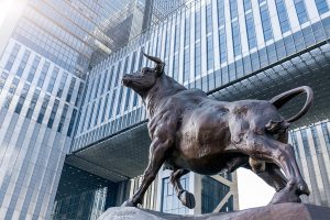 Fresh foreign capital shows investor confidence