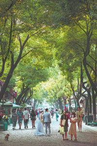 On the road of entrepreneurial dreams