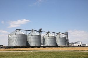 China-US agree to terms on agricultural trade