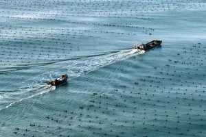China’s marine economy posts steady growth in H1